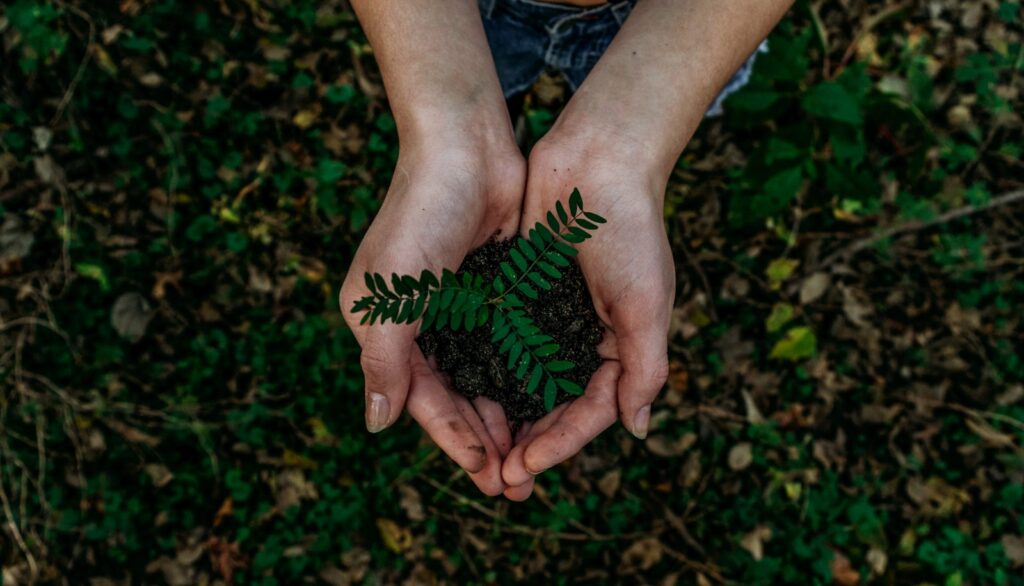 sürdürülebilir pazarlama stratejisi için yeşil marka iletişimi ve çevre dostu ürün sunumu