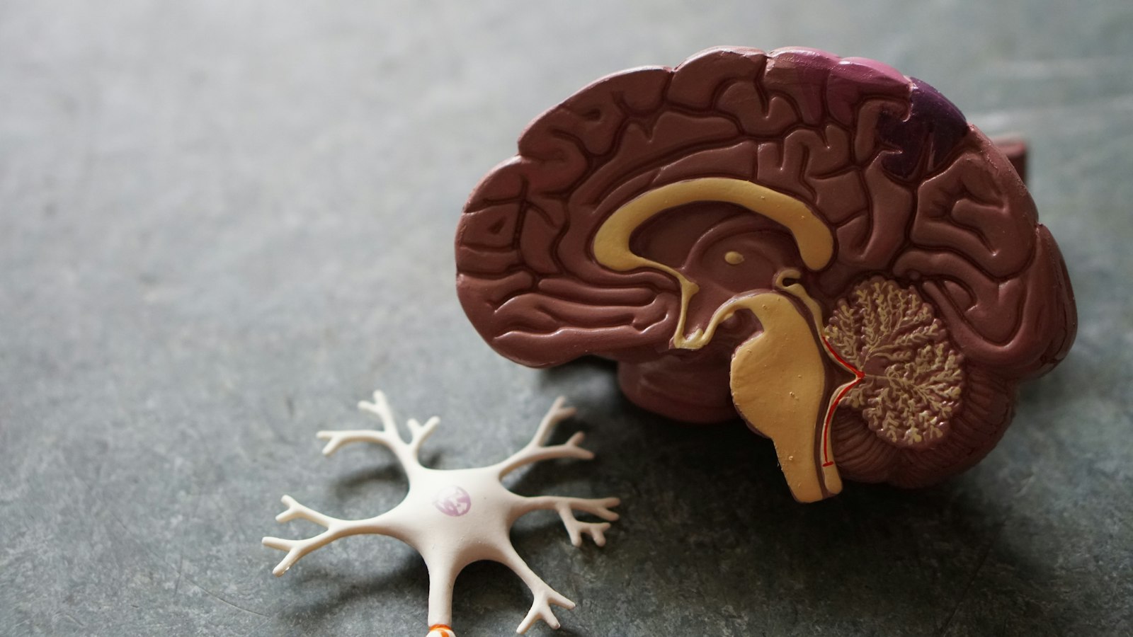 neuromarketing pazarlama için beyin ve tüketici psikolojisi araştırması